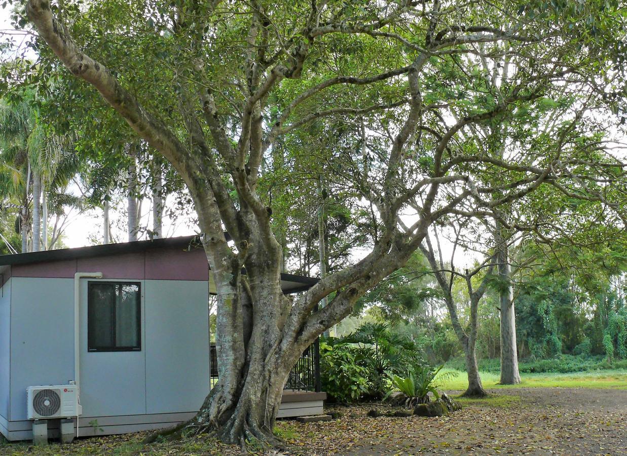 Lismore Lake Holiday Park Exterior photo